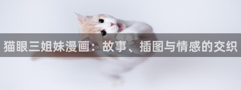 龙与虎羞羞动漫：猫眼三姐妹漫画：故事、插图与情感的交织